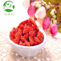 Vendre des baies de goji séchées biologiques de haute qualité à bas prix